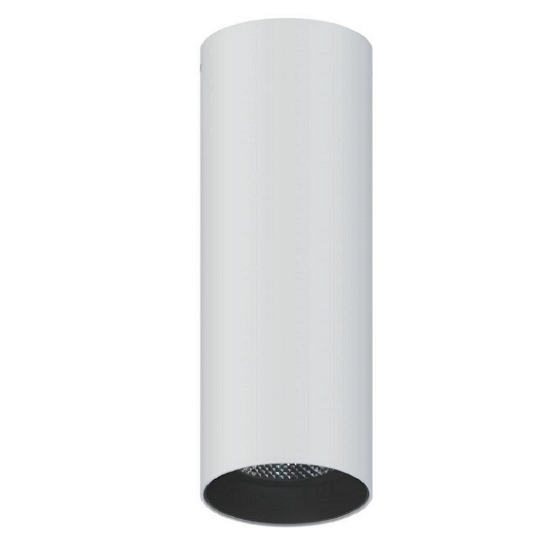 L - צילינדר צמוד תקרה קצר/בינוני/ארוך LED