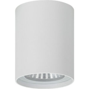 EU - צמוד תקרה ROLL 10W