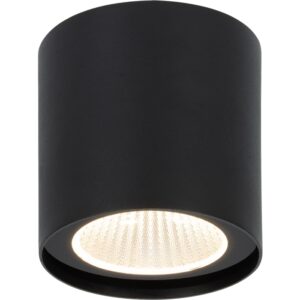 EU - צמוד תקרה ROLL 20W