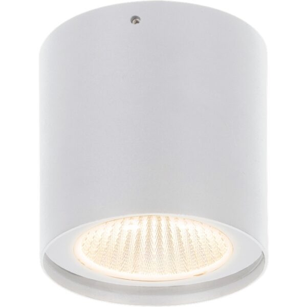 EU - צמוד תקרה ROLL 20W